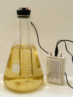 2 liter flask and Deluxed CS Generator with Ac adapter